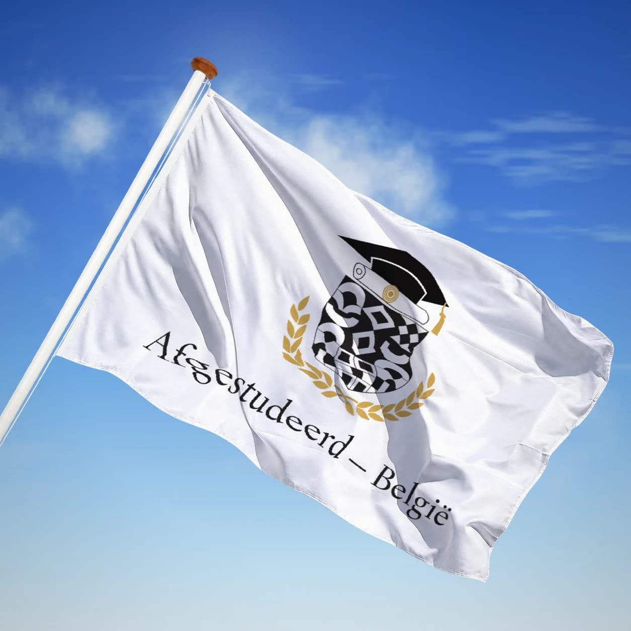 Afgestudeerd — België — Modern heraldiek