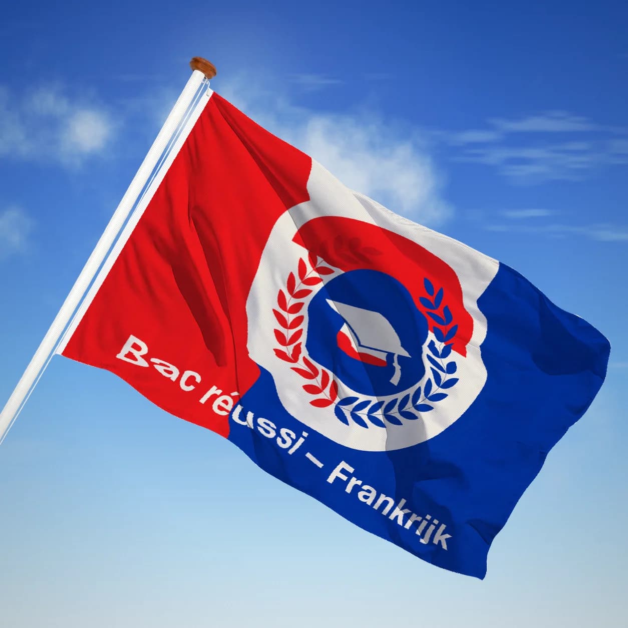 Bac réussi — Frankrijk — Grafisch erfgoed