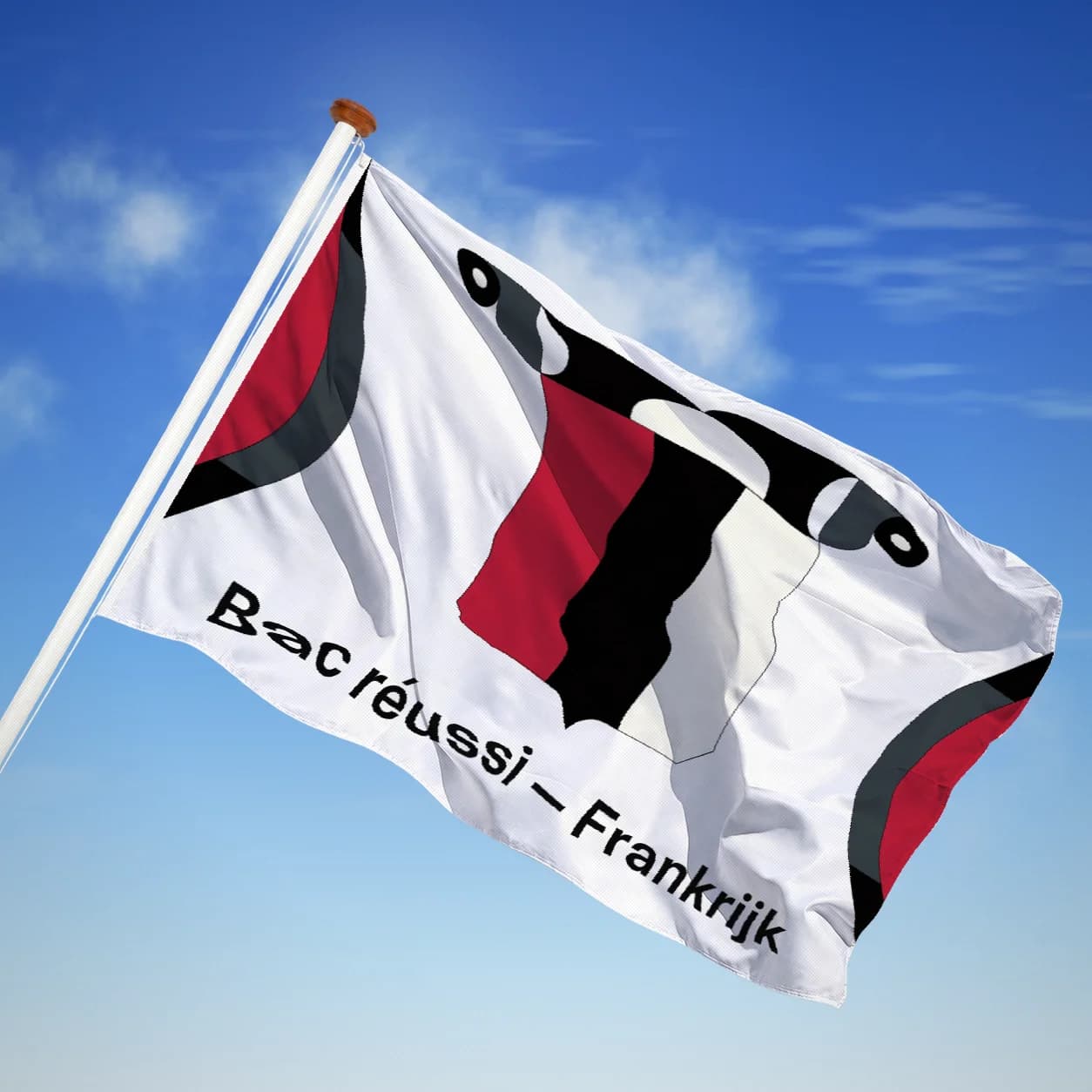 Bac réussi — Frankrijk — Modern heraldiek
