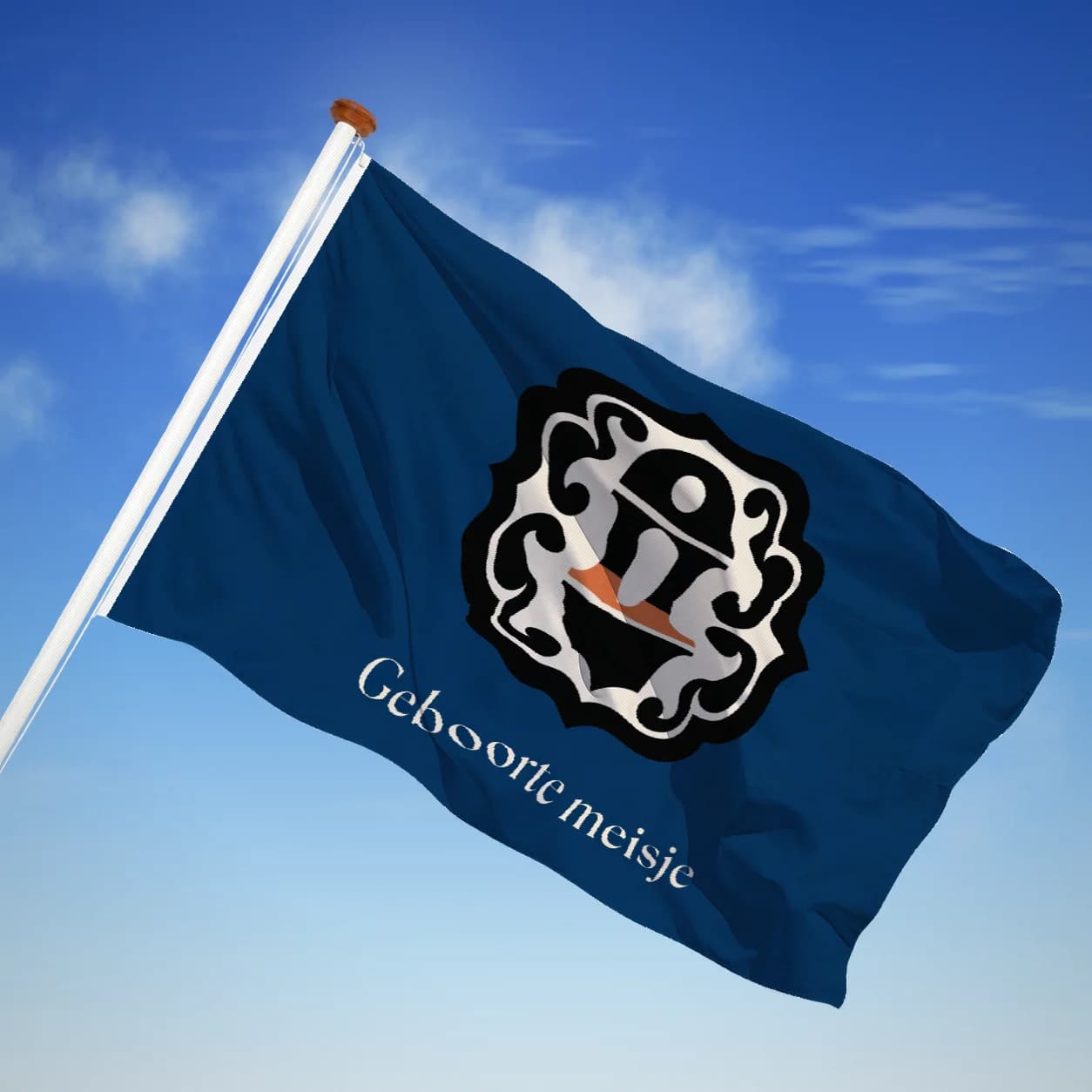 Geboorte meisje — Modern heraldiek