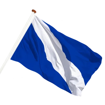 transparent background
