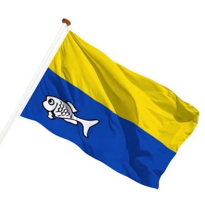 transparent background