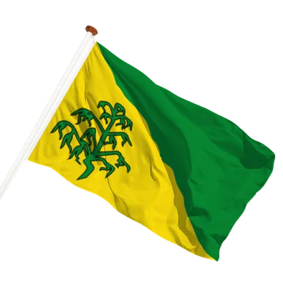 transparent background