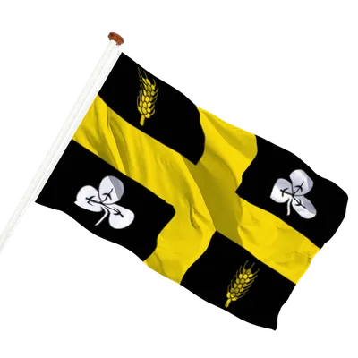 transparent background