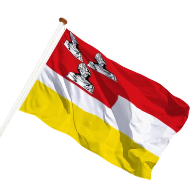 transparent background