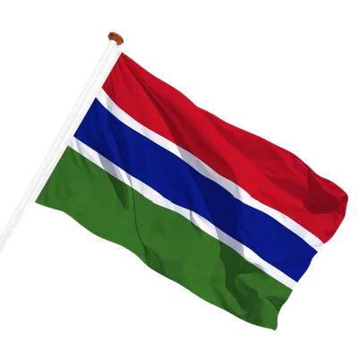 transparent background