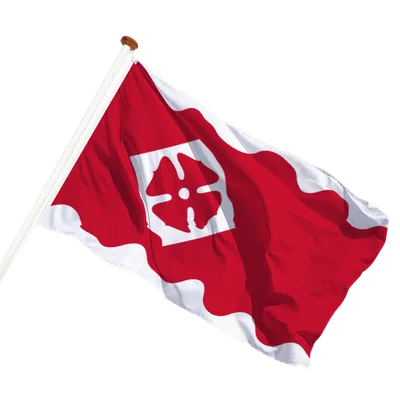 transparent background