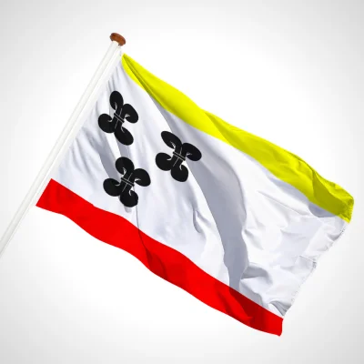 white background