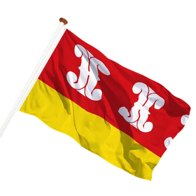 transparent background
