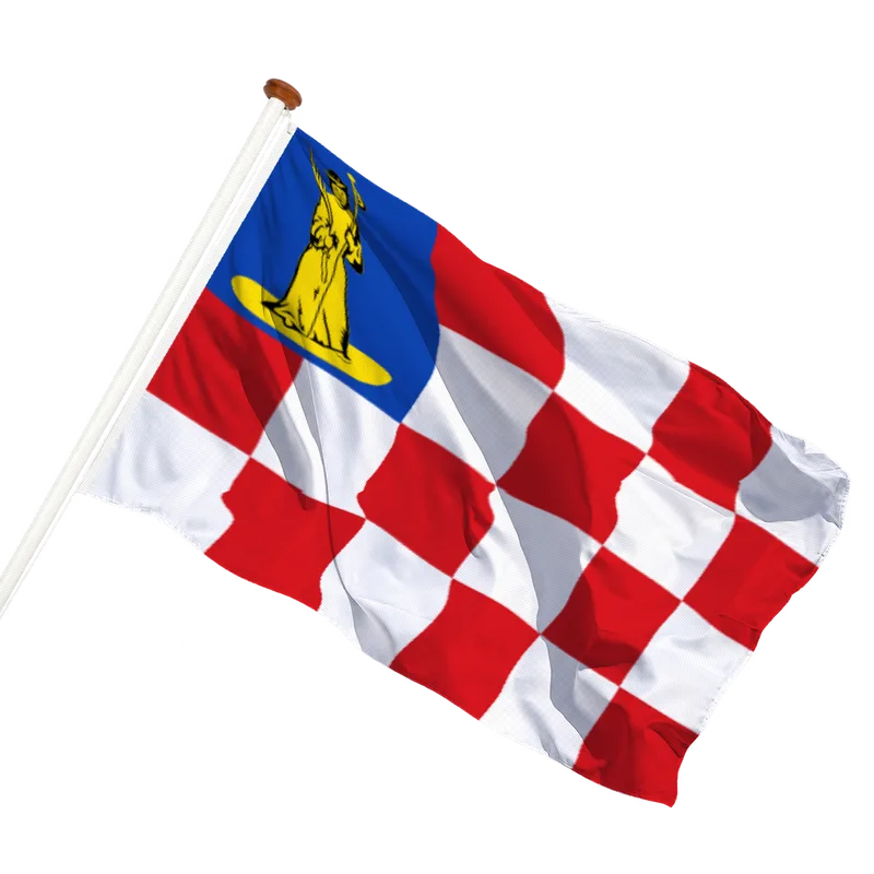 Flag of Den Dungen