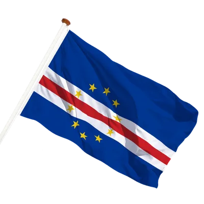 transparent background