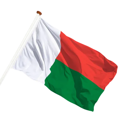 transparent background
