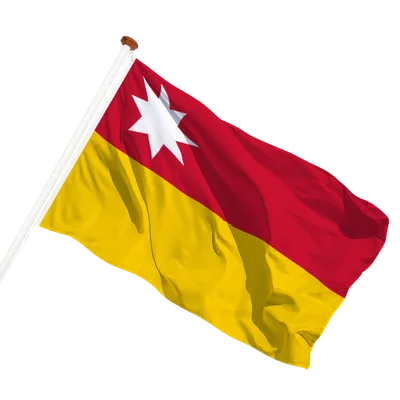 transparent background