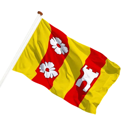 transparent background