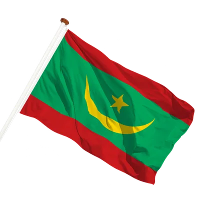 transparent background