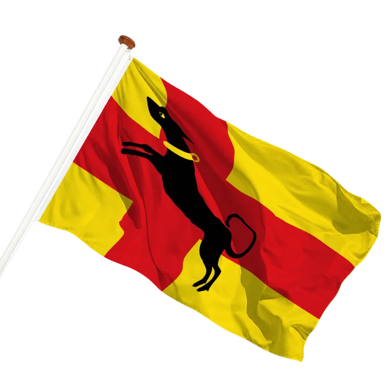 Flag of Ruurlo