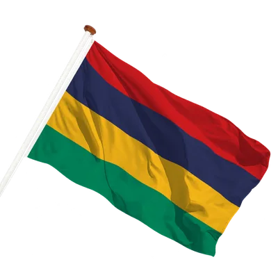 transparent background
