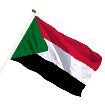 transparent background