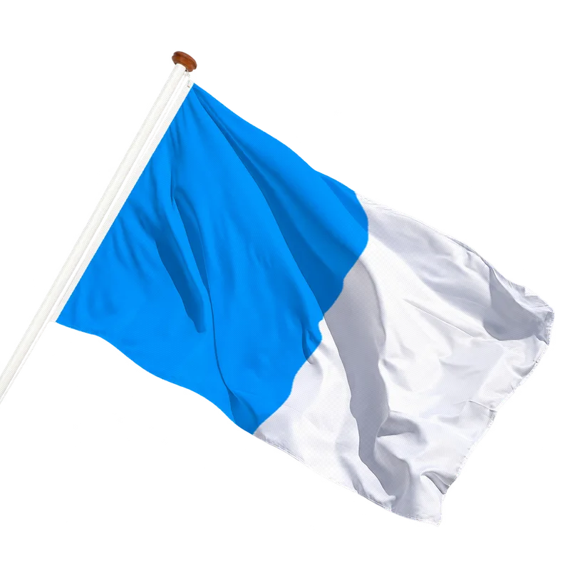 Flag of Dinant