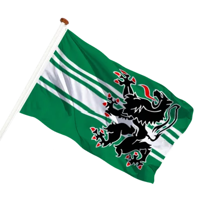 transparent background