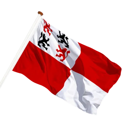 transparent background