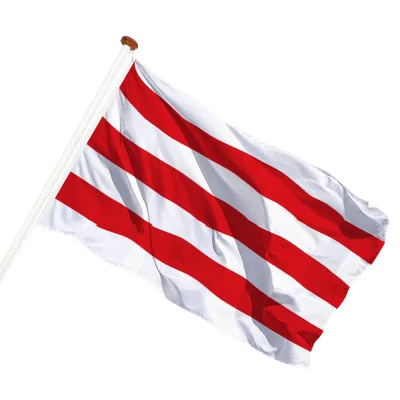 transparent background