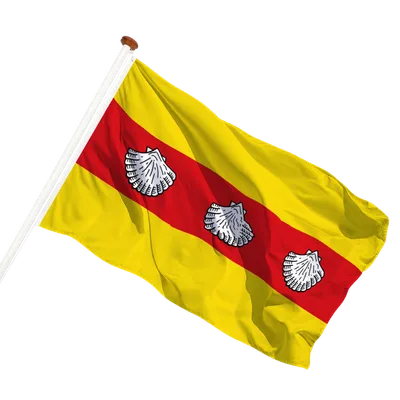 transparent background