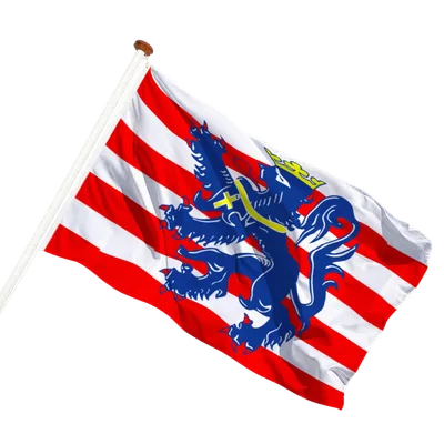 transparent background