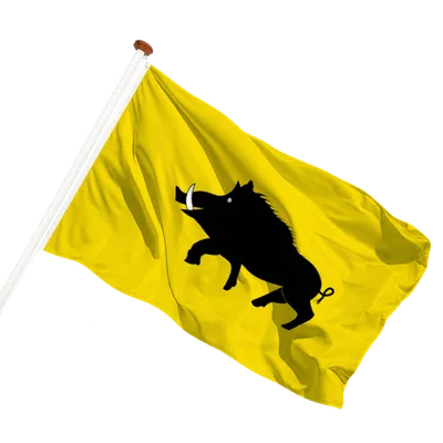transparent background
