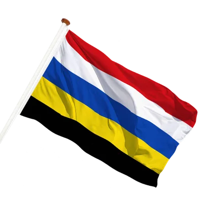 transparent background