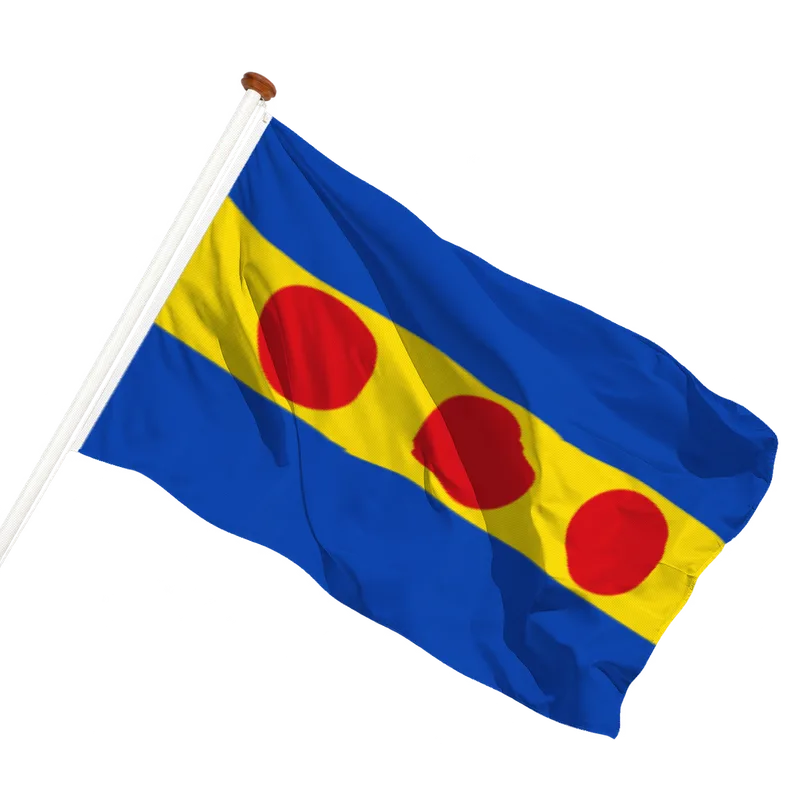Flag of Neede