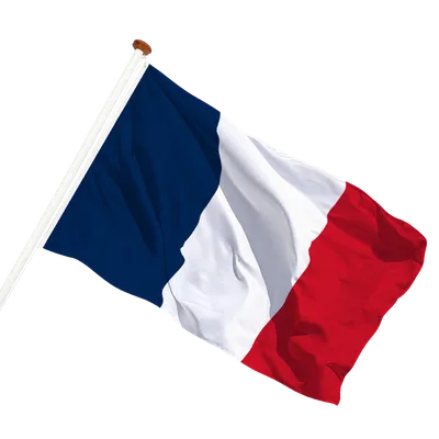 transparent background