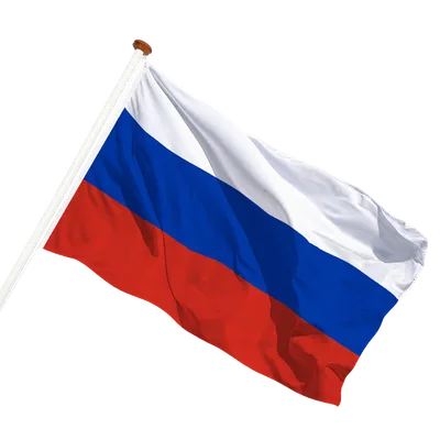 transparent background