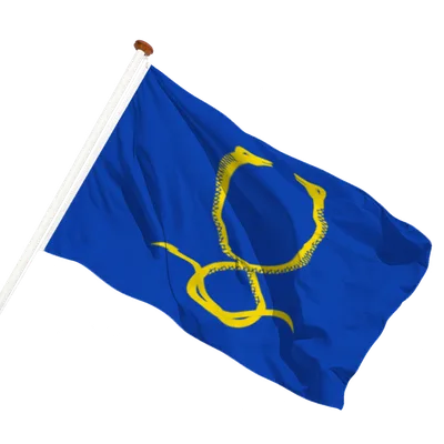 transparent background