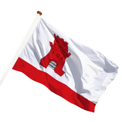 transparent background
