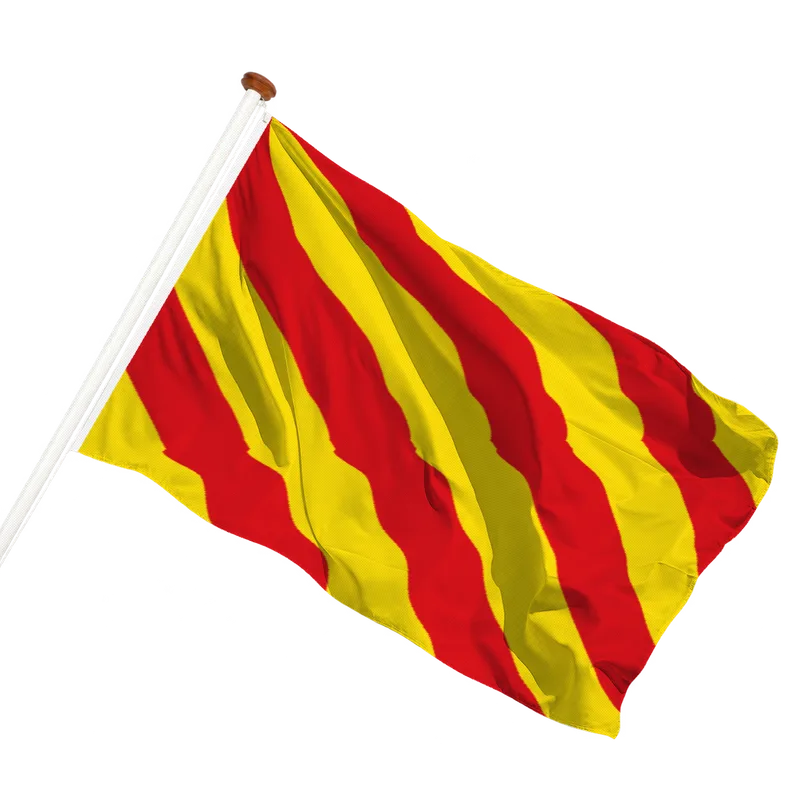 Flag of Sassenheim