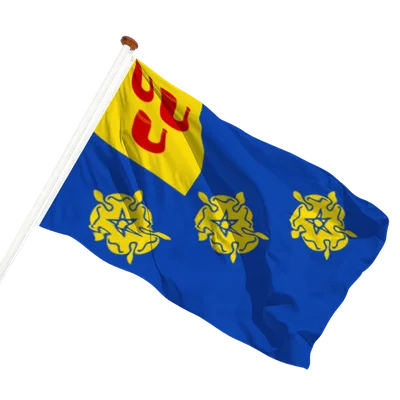transparent background