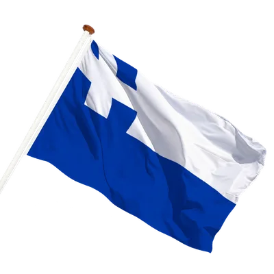 transparent background