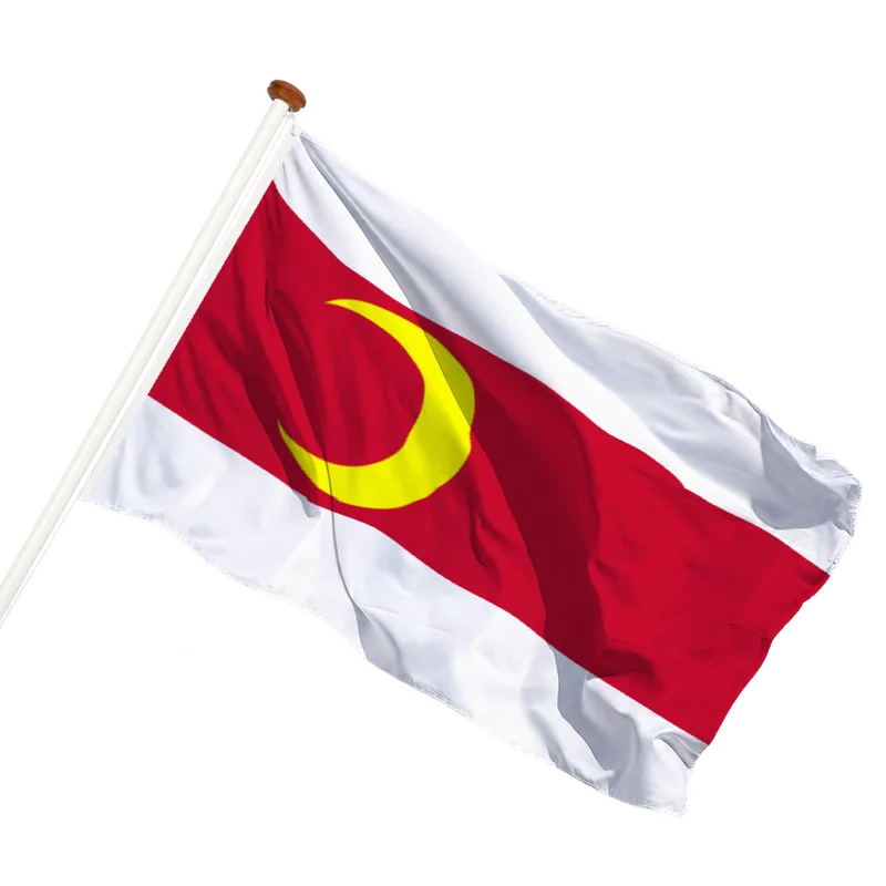 Flag of Doesburg