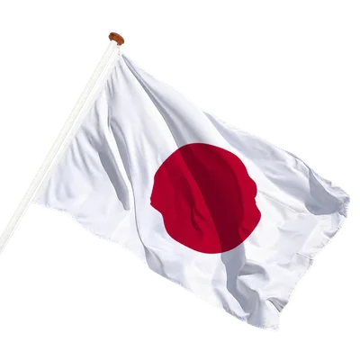 transparent background