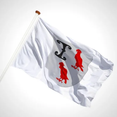 white background
