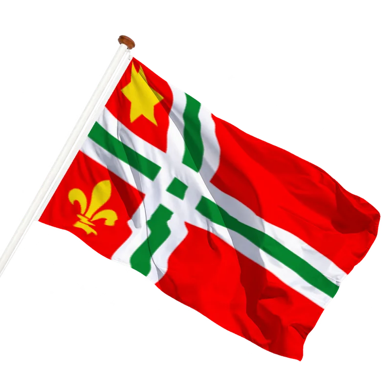 Flag of Buitenpost