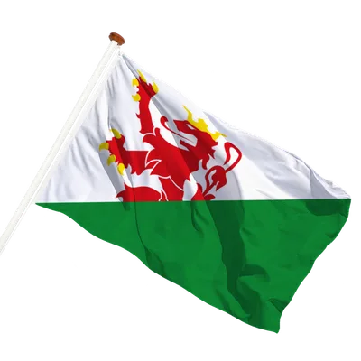 transparent background
