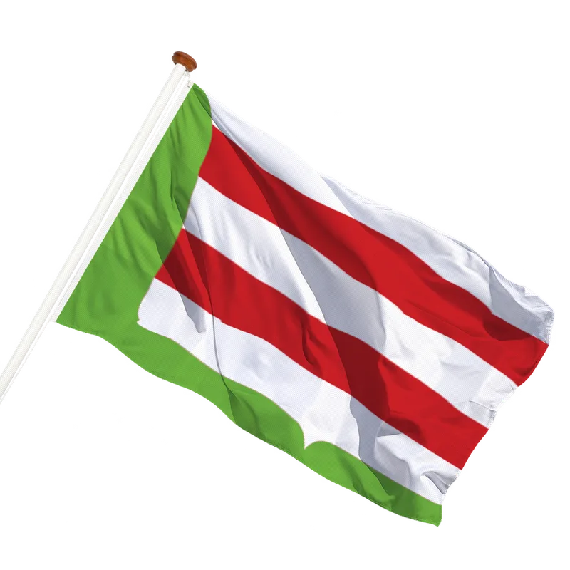 Flag of Noordeloos