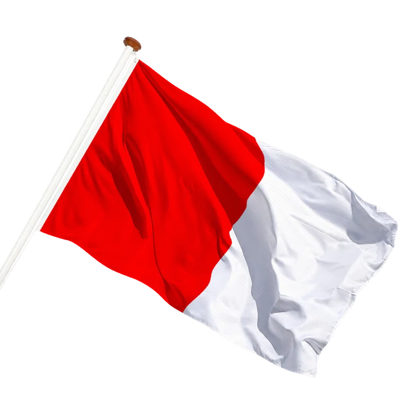 Flag of Valburg