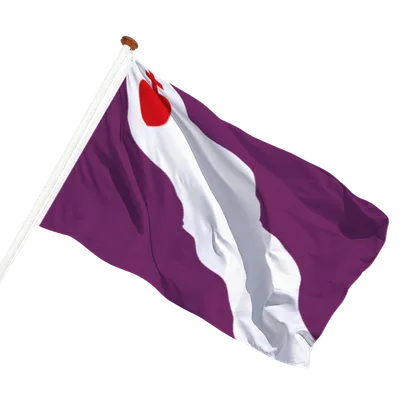 transparent background