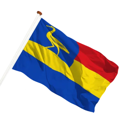 transparent background