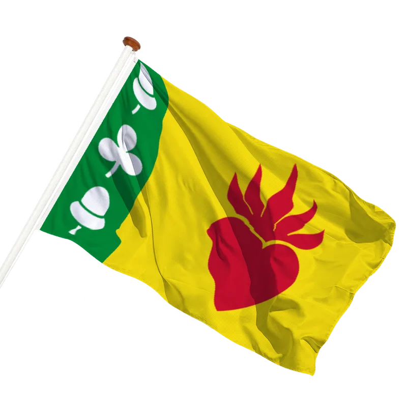 Flag of Augustinusga