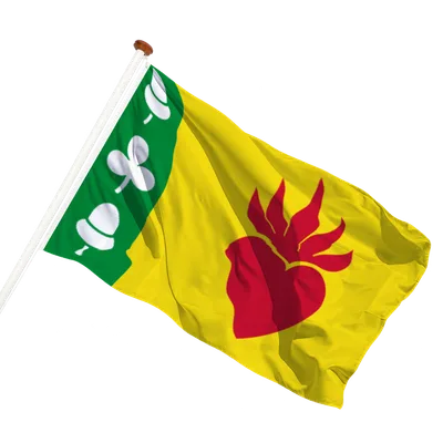 transparent background