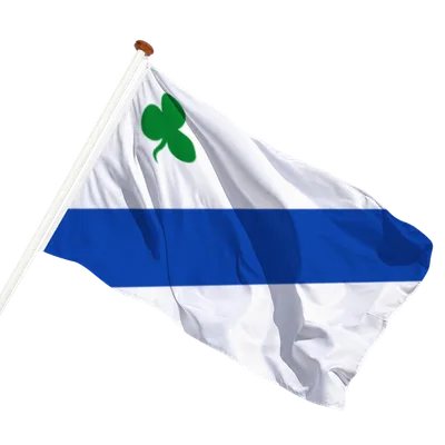 transparent background